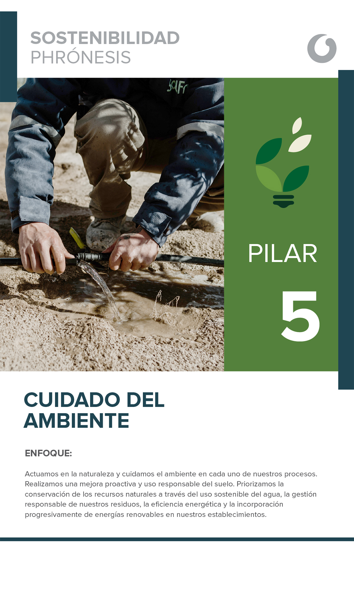 Pilar 5